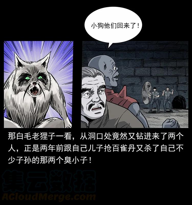 77.jpg