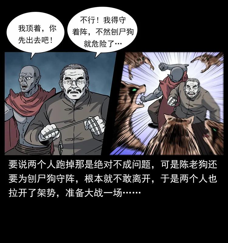 66.jpg