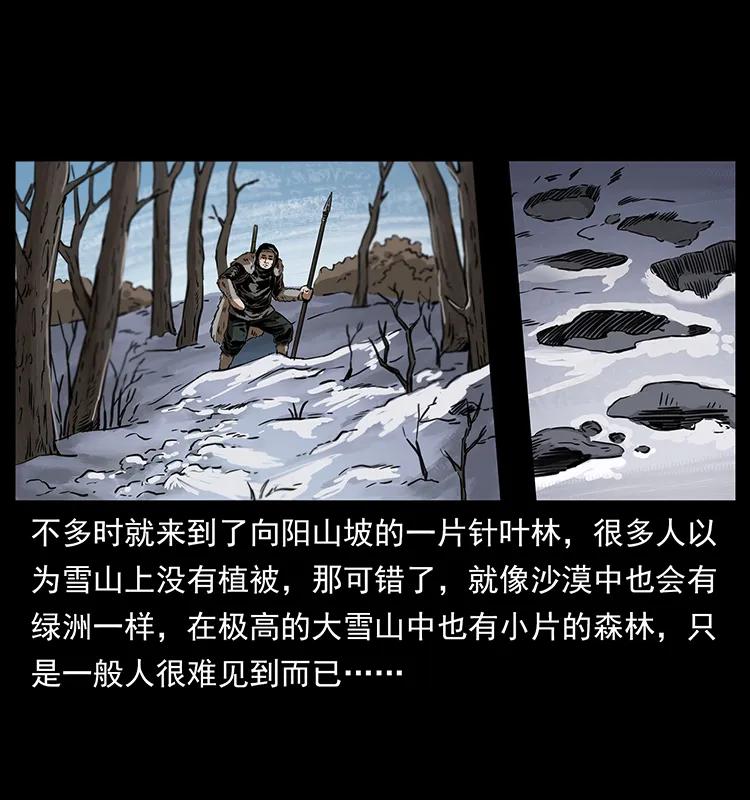 28.jpg