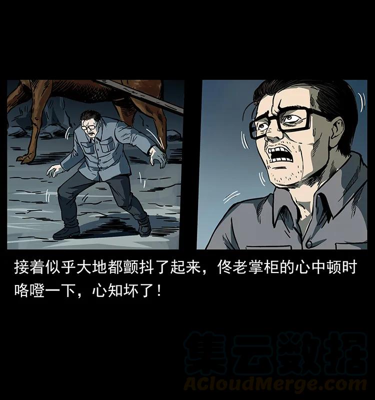 81.jpg