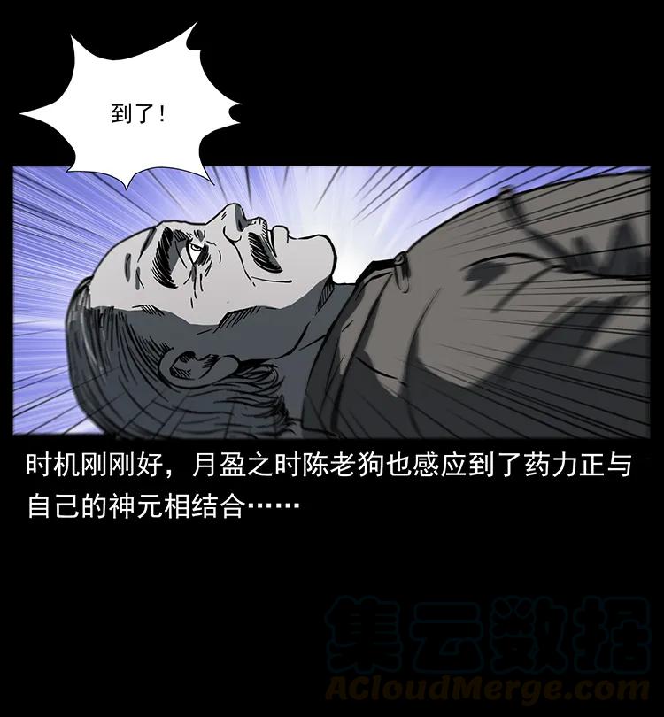 81.jpg