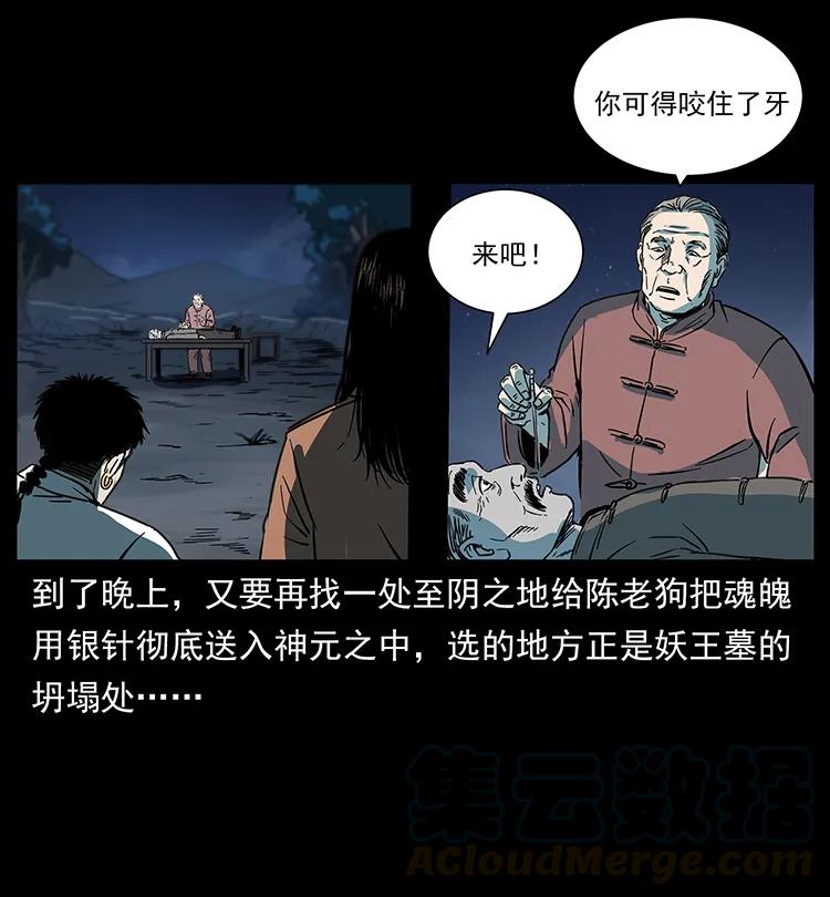 77.jpg