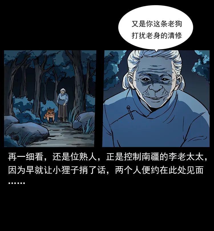52.jpg