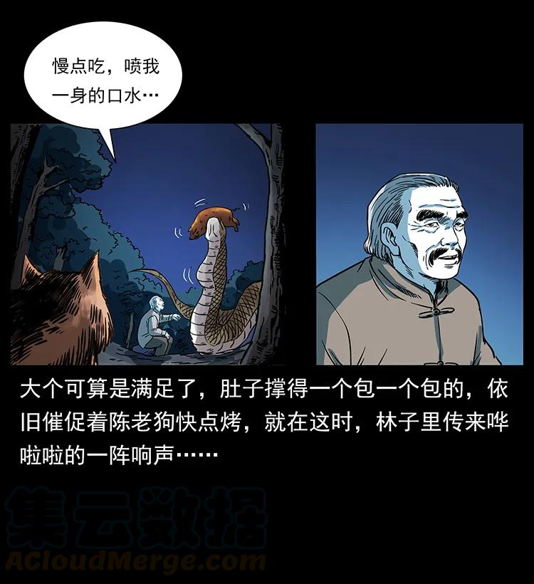 53.jpg