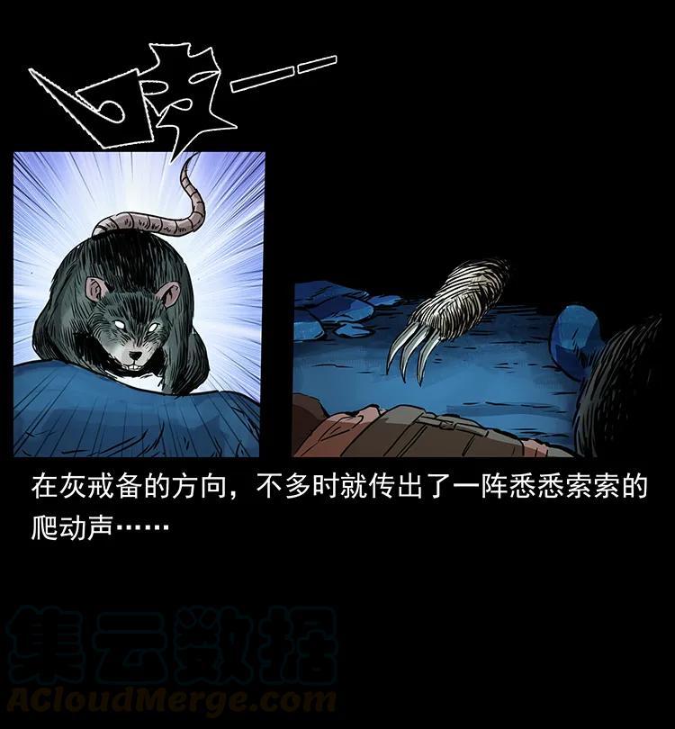 29.jpg