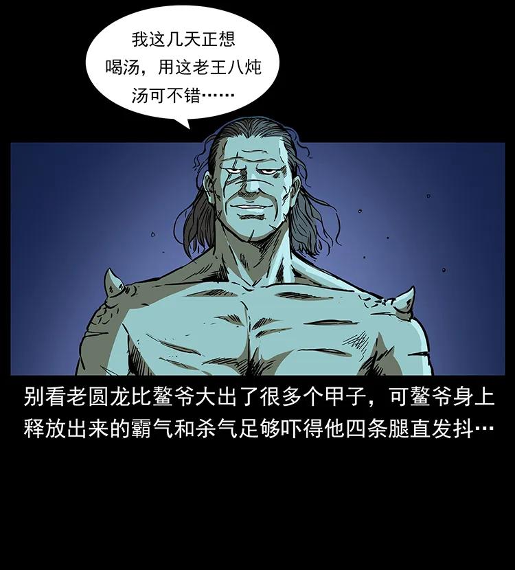 51.jpg
