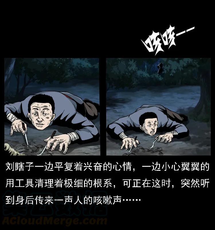 29.jpg
