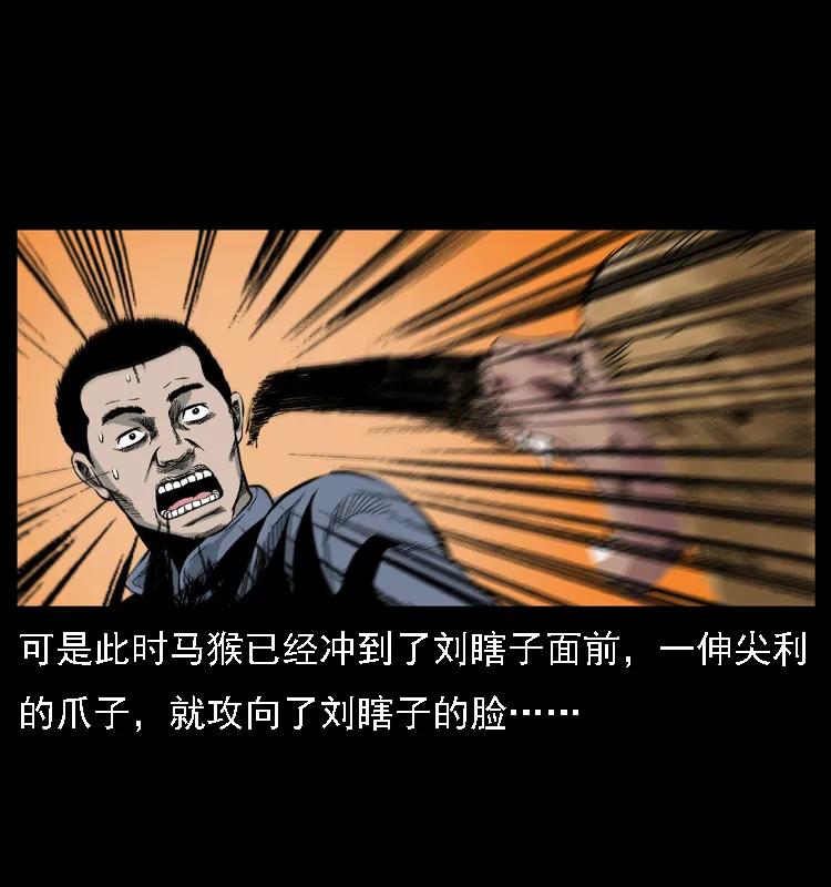 51.jpg