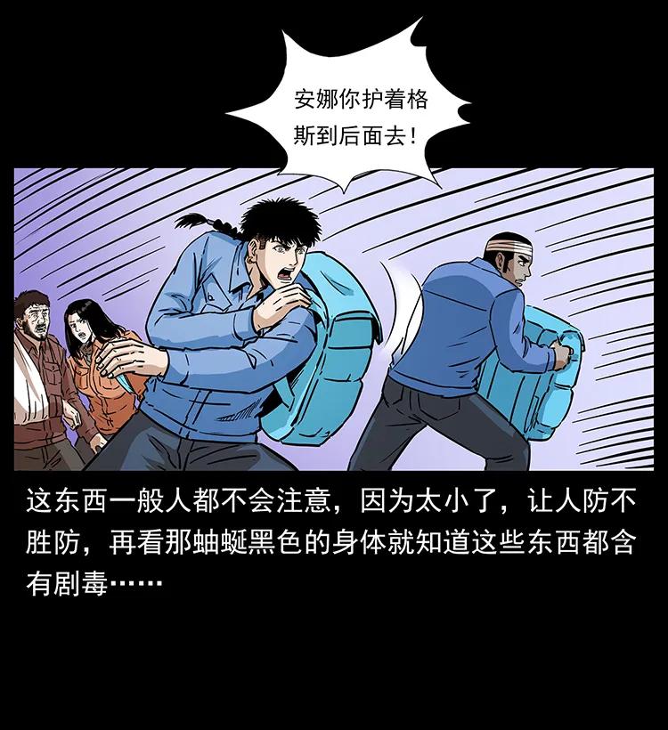48.jpg