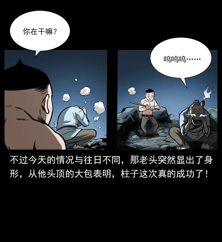 15.jpg