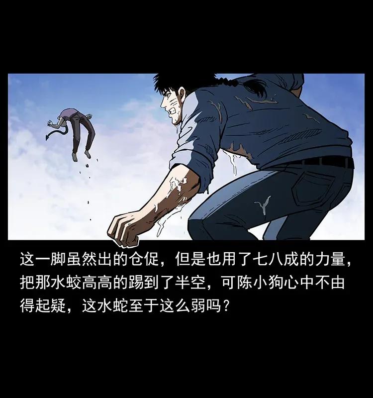 78.jpg