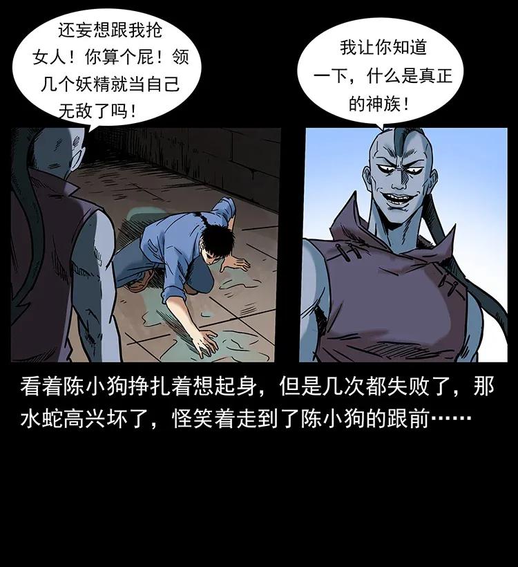 78.jpg