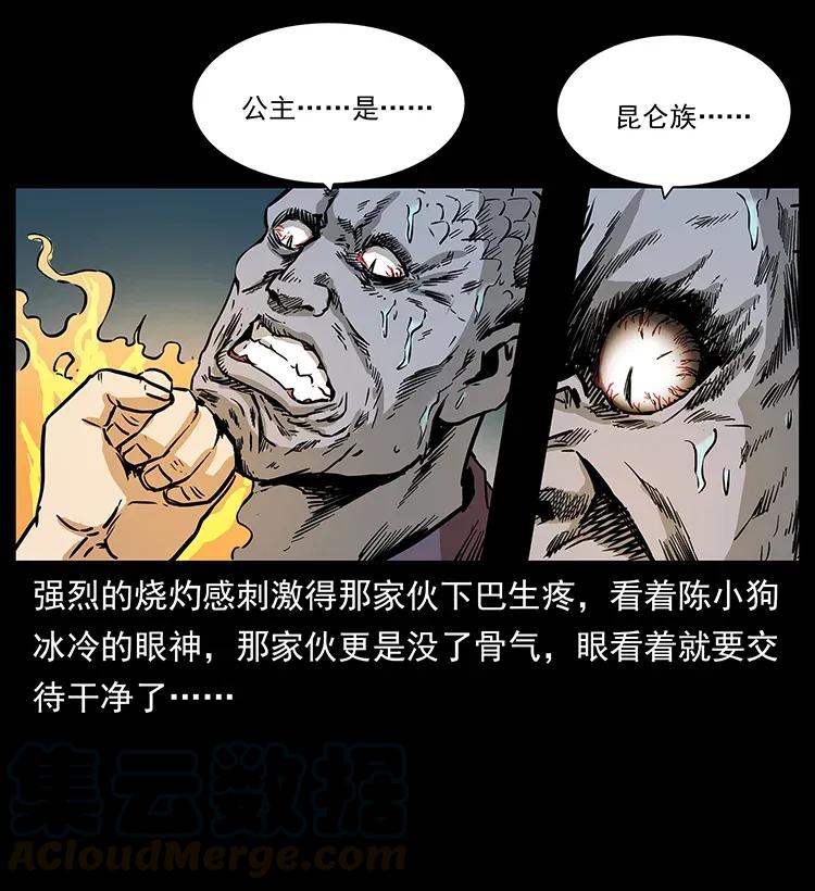 41.jpg