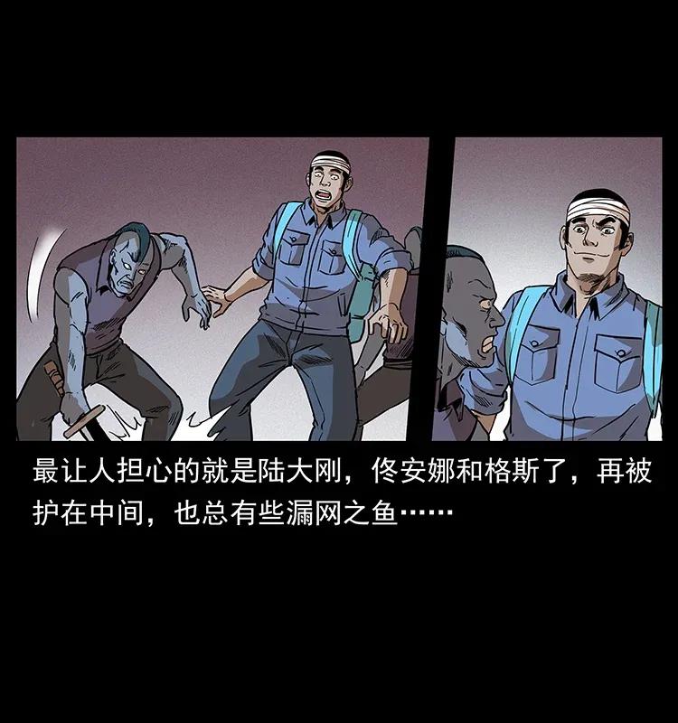 51.jpg