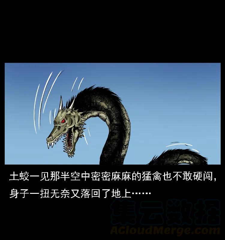 65.jpg