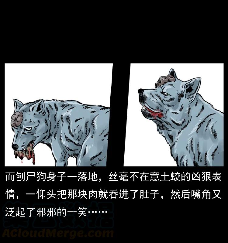 49.jpg