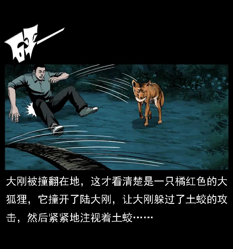 38.jpg