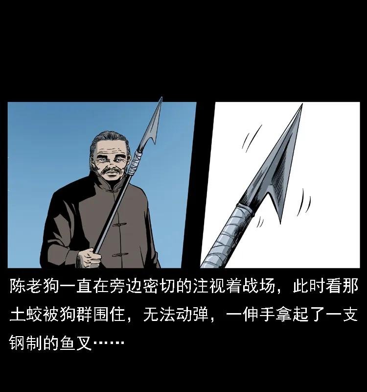 55.jpg