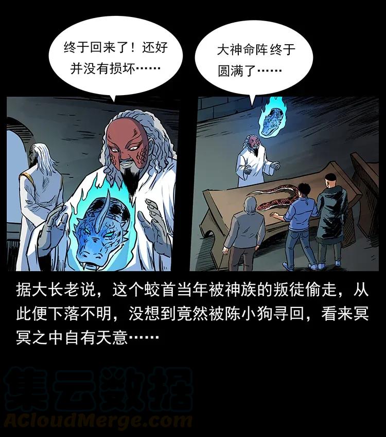 77.jpg