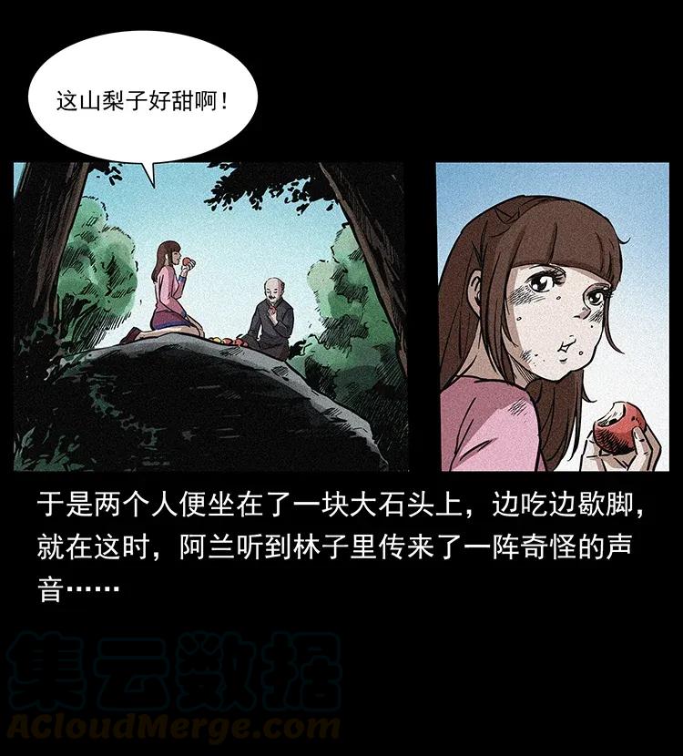 17.jpg