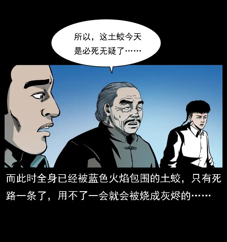 67.jpg