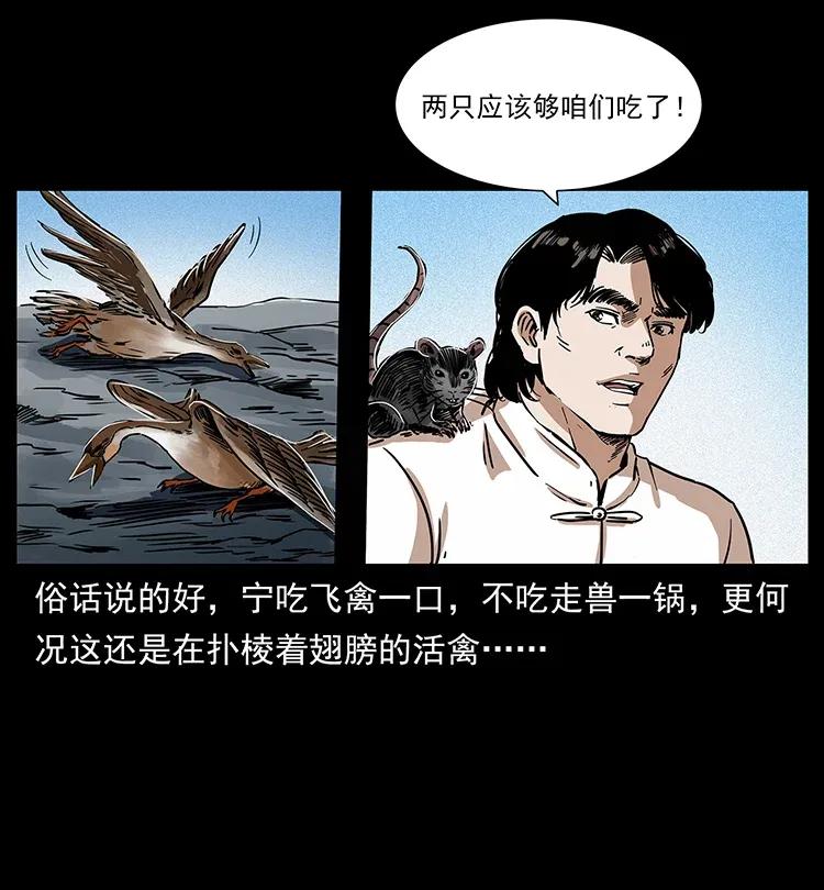 27.jpg
