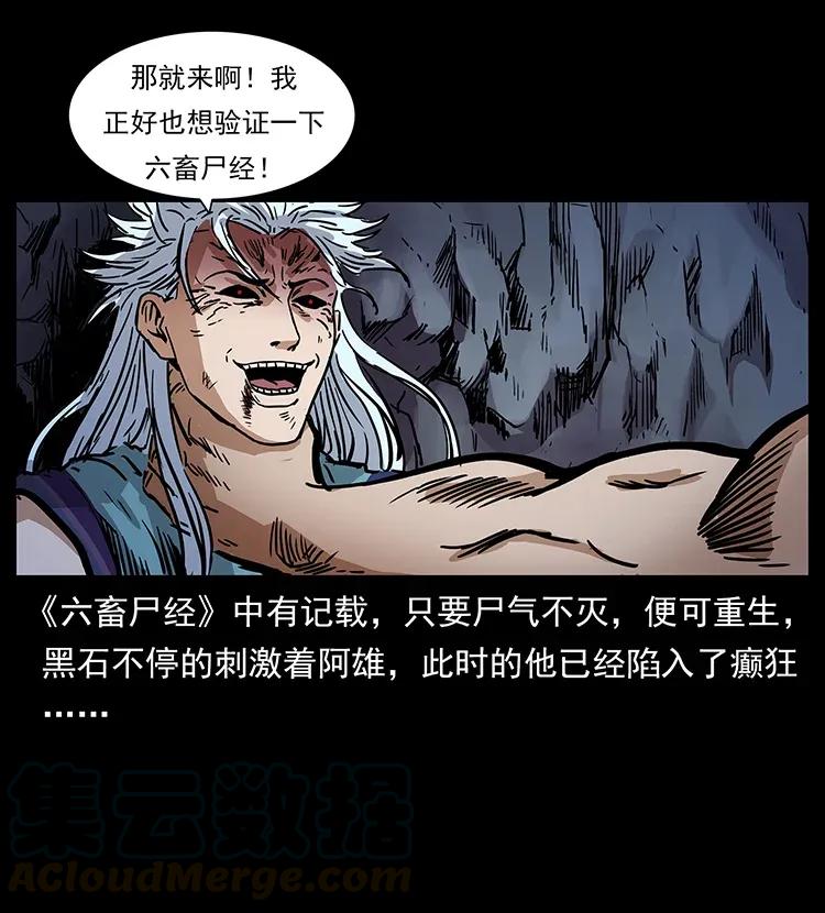 49.jpg