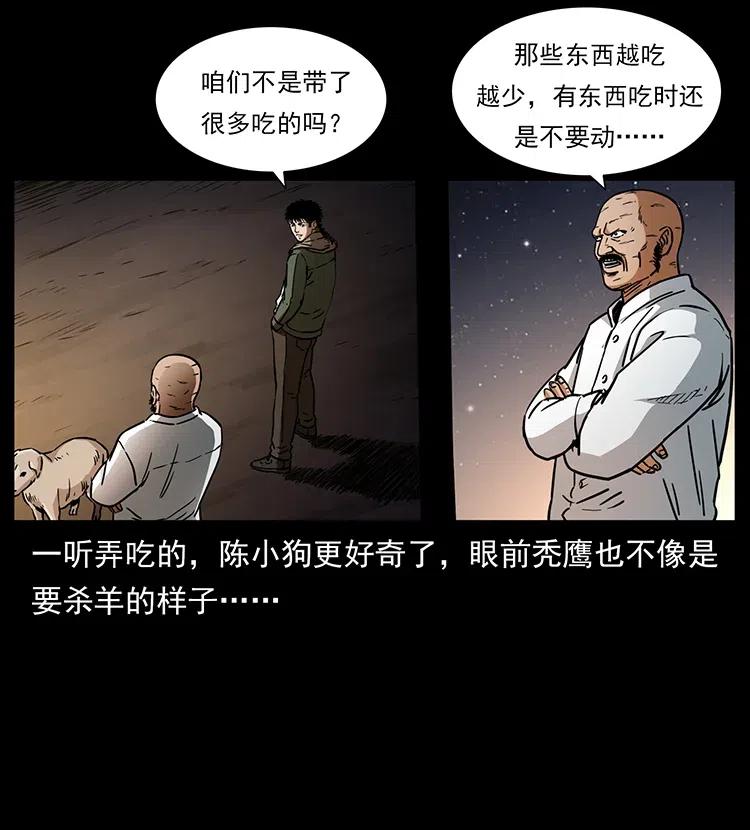 20.jpg