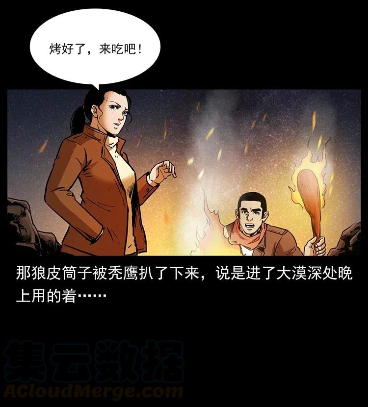 41.jpg