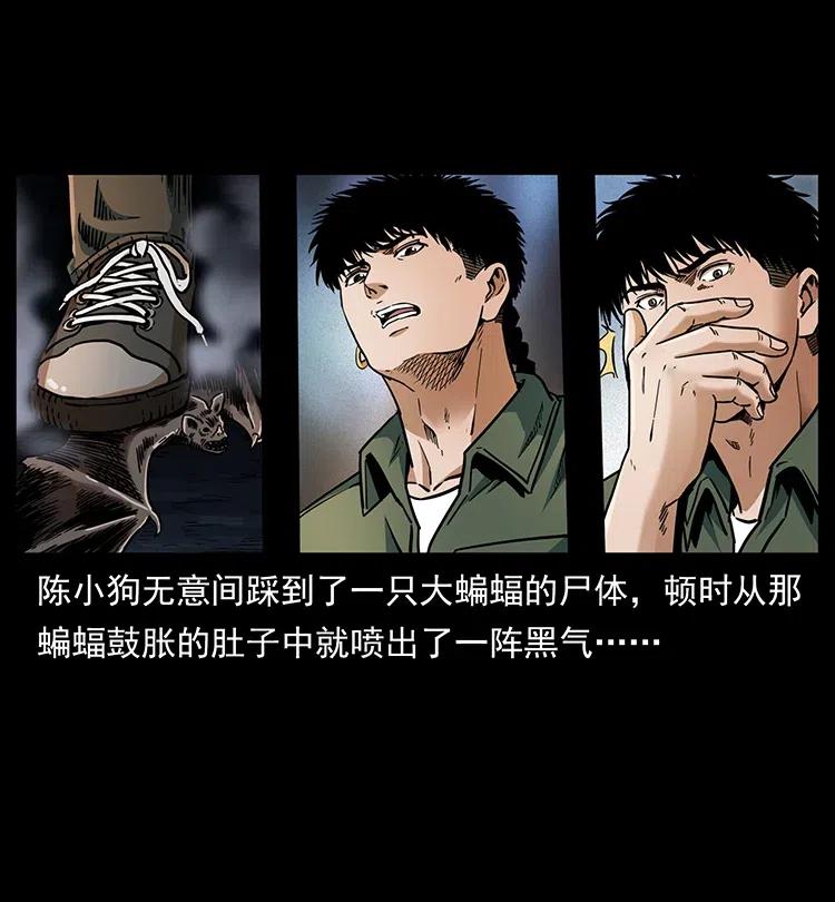 31.jpg