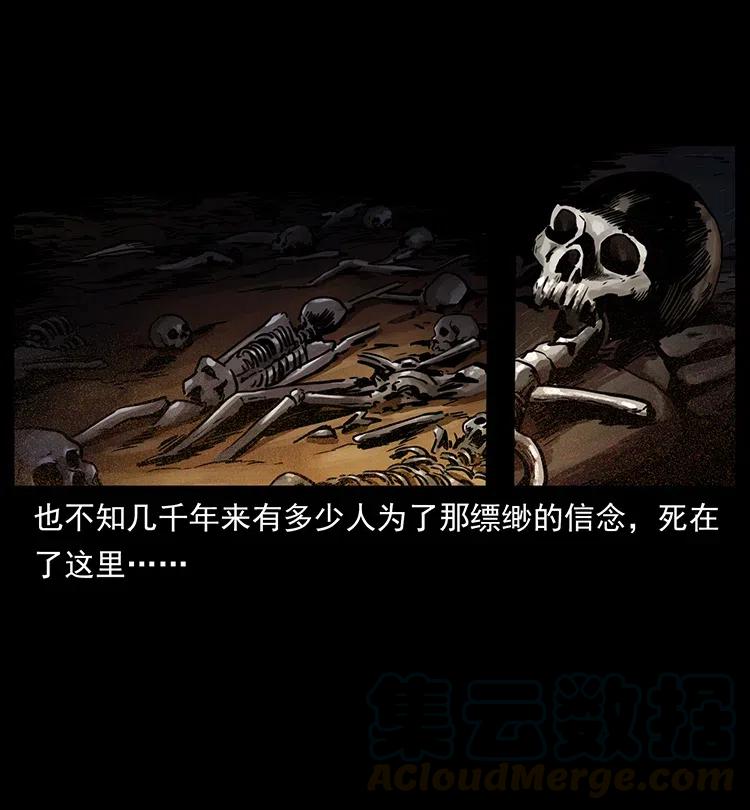 77.jpg
