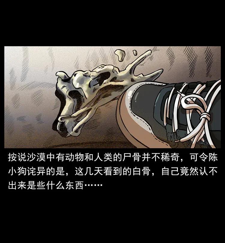 46.jpg