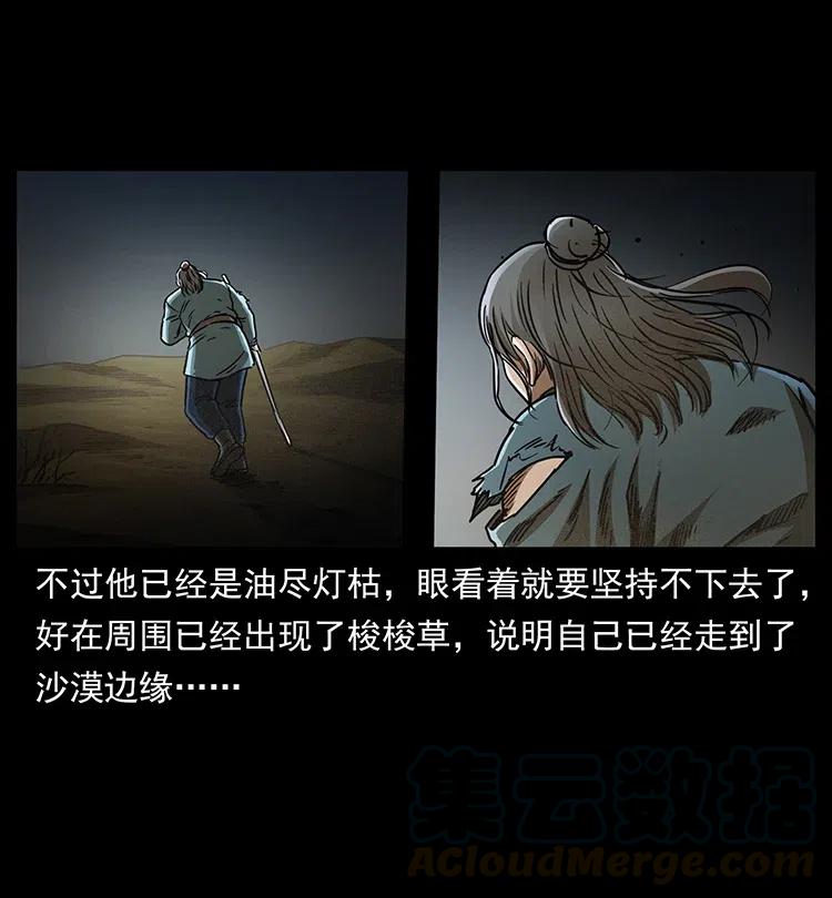 77.jpg