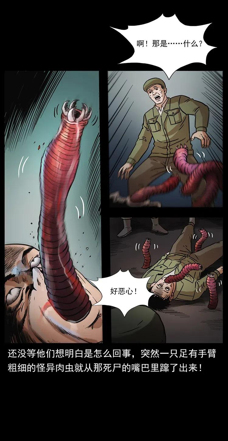 31.jpg