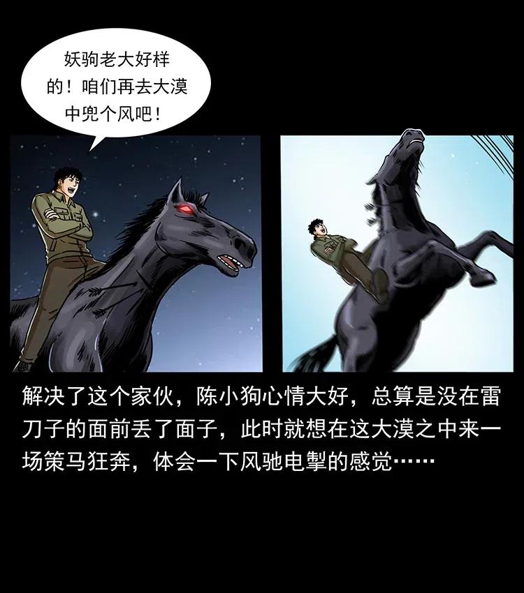 79.jpg