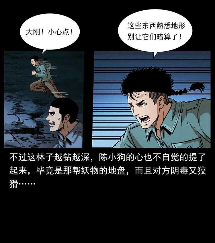 79.jpg