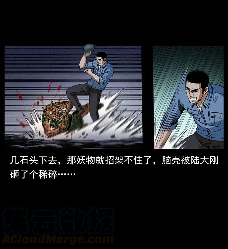 25.jpg