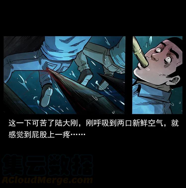 73.jpg