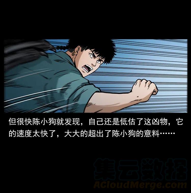41.jpg