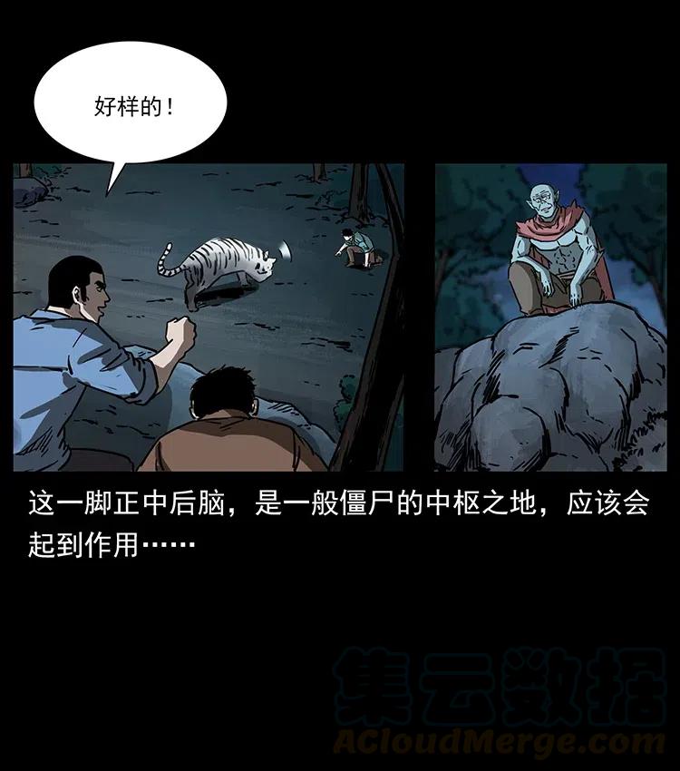 29.jpg