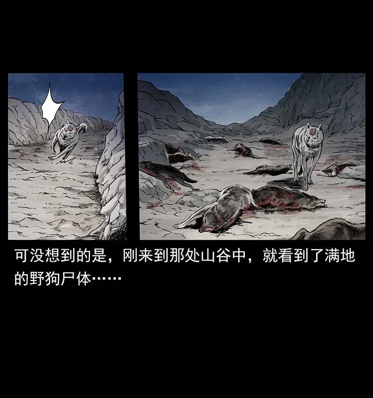 35.jpg