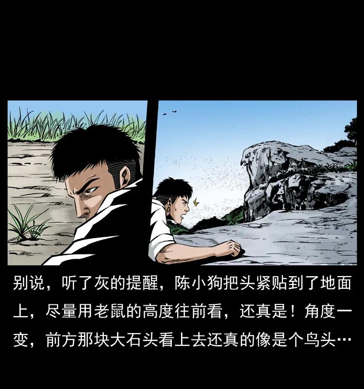 20.jpg