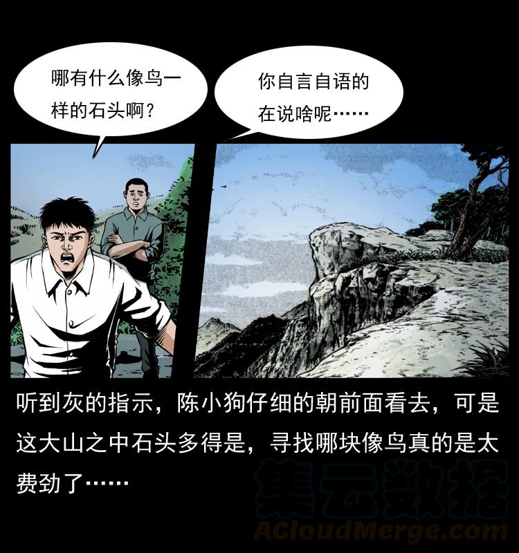 17.jpg