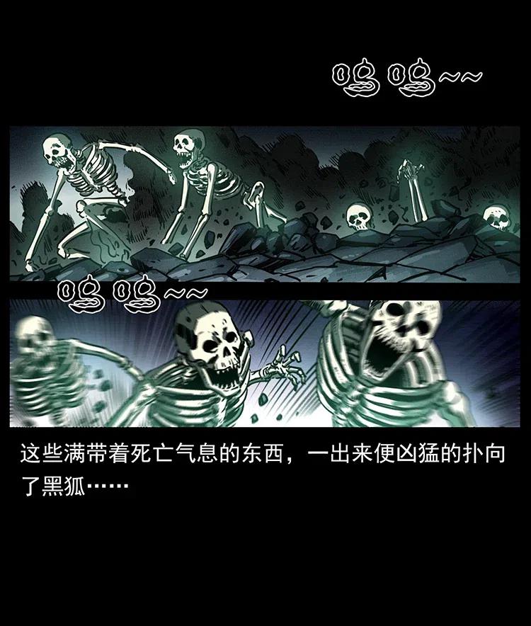 75.jpg