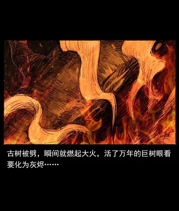 85.jpg