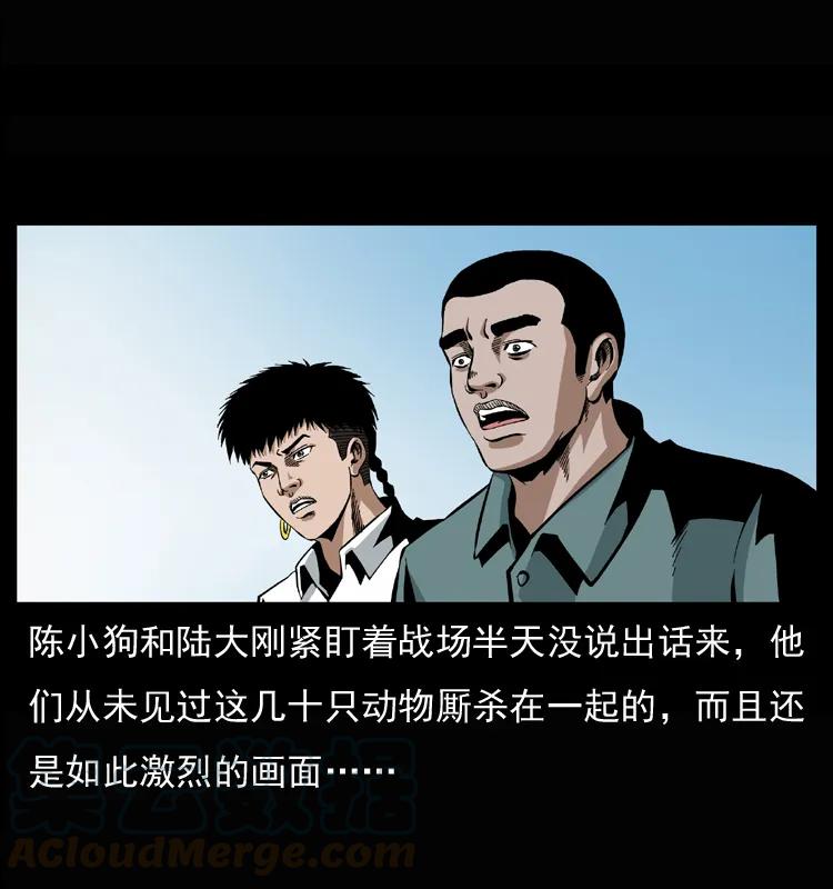 17.jpg