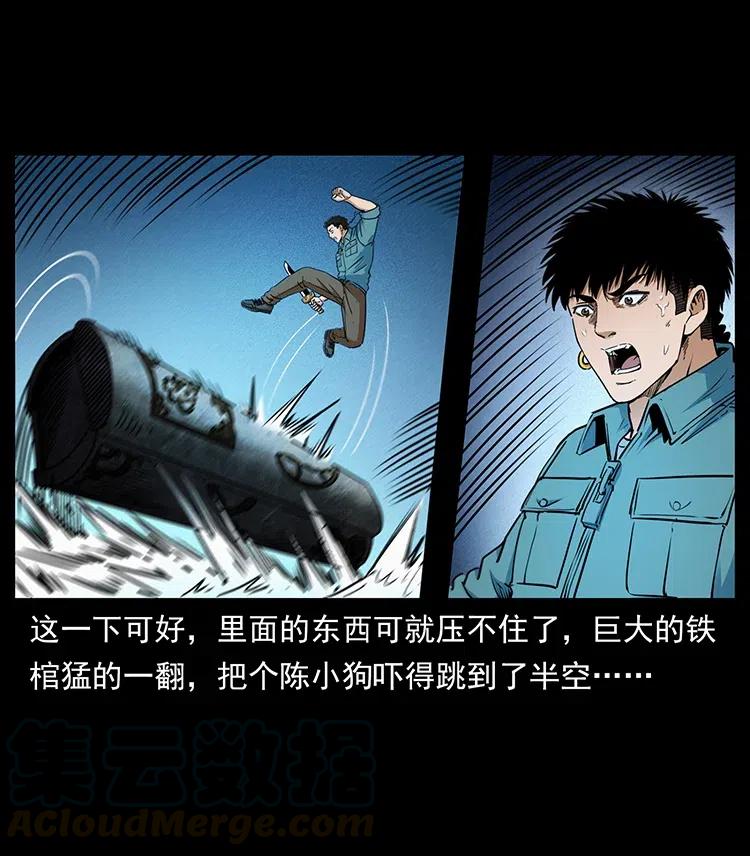 31.jpg