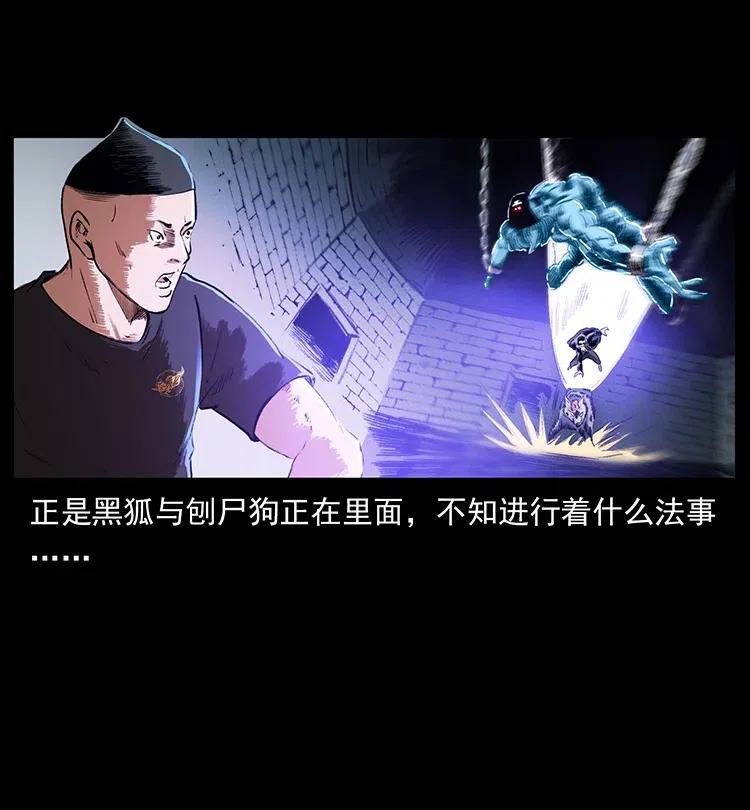 81.jpg