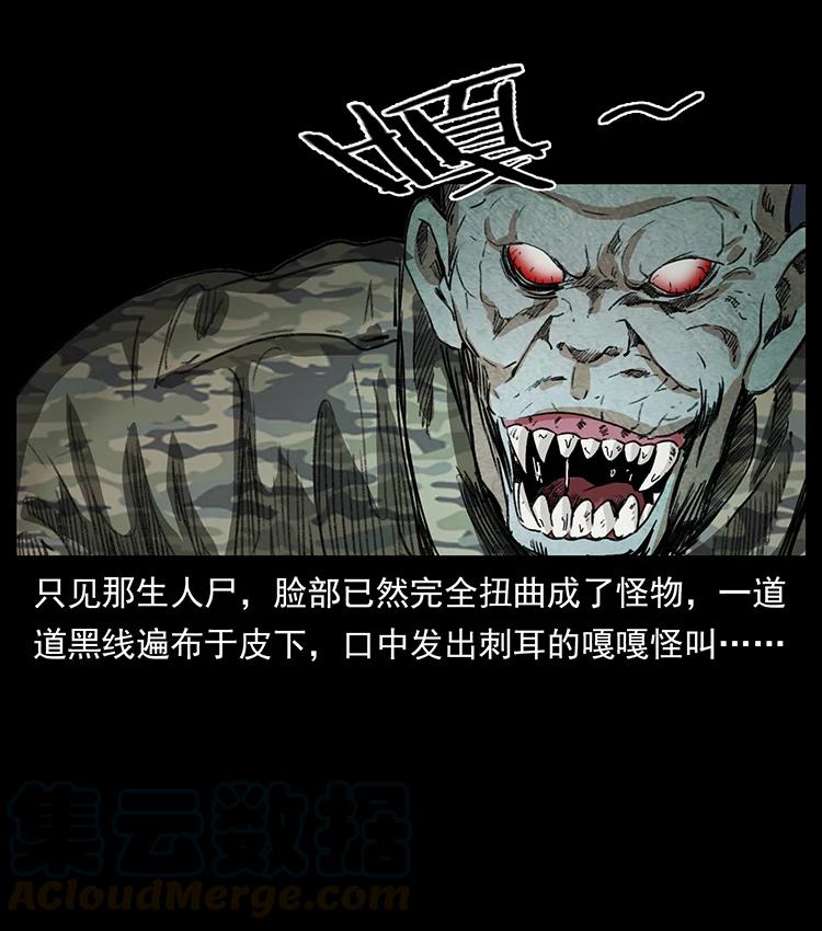 79.jpg
