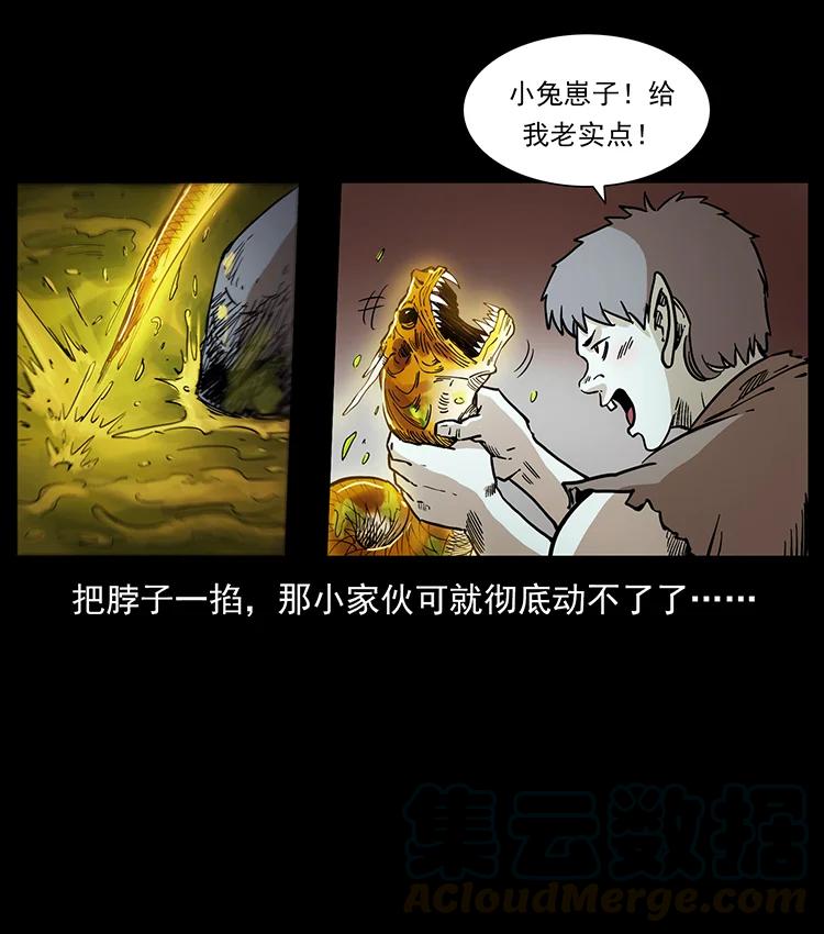 49.jpg